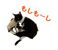 814564000