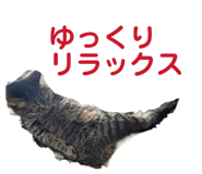 814564008