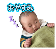 814566490