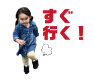814566511