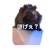 814570249