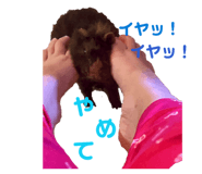 814570250