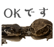 814629139
