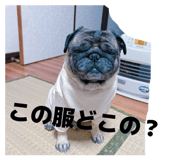 814656685