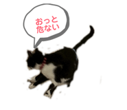 814666106