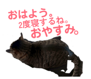 814666107