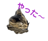 814666109