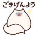 814684561