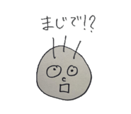 814685244