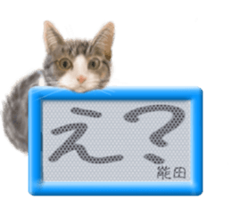 814691014