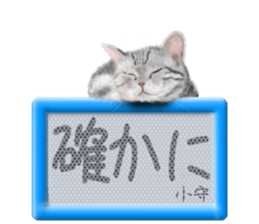 814691058