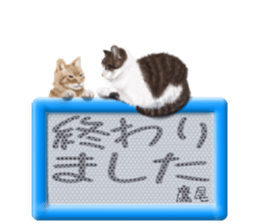814691393