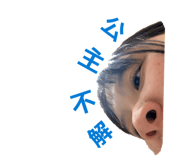 814755023