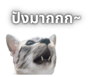 814757519