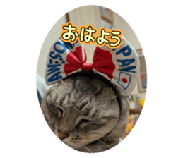 814759470