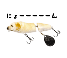 814784433