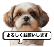 814784821