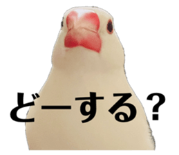 814785896