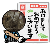 814969504