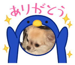 814970284
