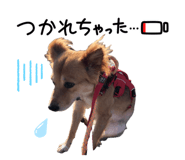 815008265