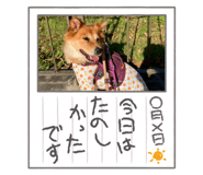 815008282