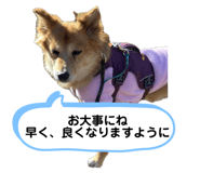 815008297