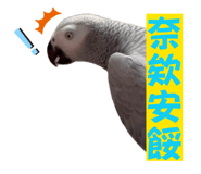 815009110
