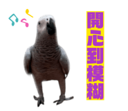 815009120