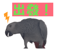 815009124