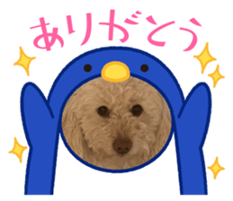 815018201