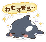 815019009