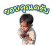 815056844