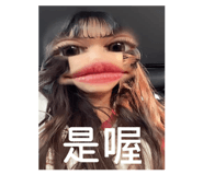 815073644