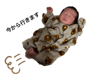 815080132
