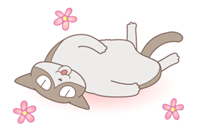 ANIME KURUNEKO รูปที่ 1