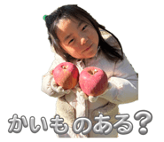 815131066