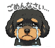 815133803