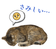 815134022