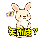 815171161