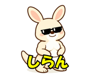 815171165