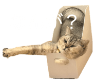 815191908