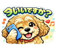 815216142