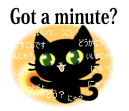 8152213