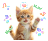 815222287