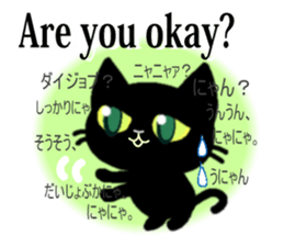 8152224