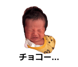 815223240