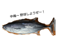 815237292