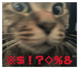 815239950