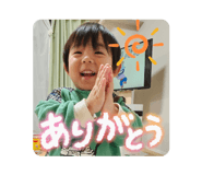 815240554